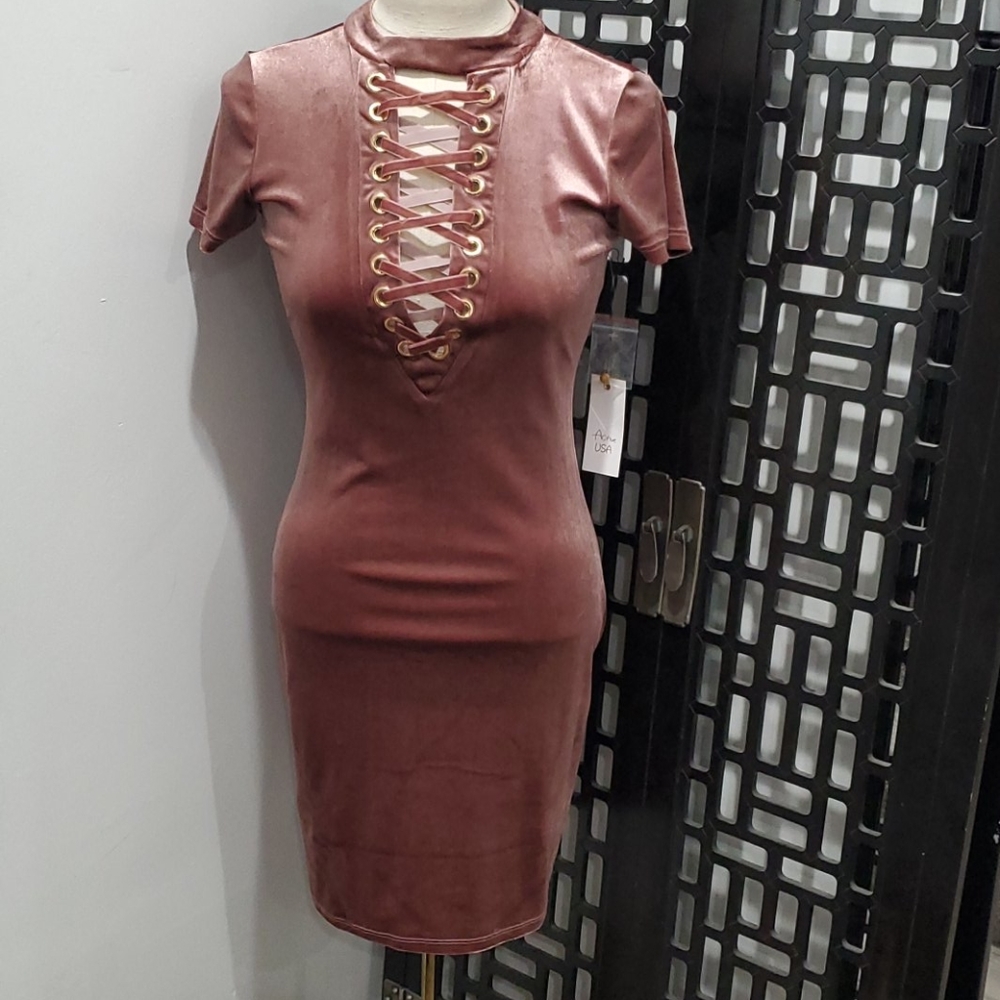 Active USA Romantic Rose Velvet Dress – Small – Perfect Fall Dress